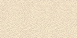 ivory 1110